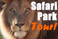 cape_town_safari