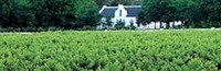 Cape Town wine route